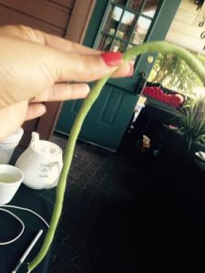 Green beans long